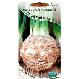 Сельдерей корневой Пражский гигант