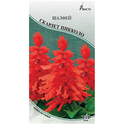 Шалфей Скарлет Пикколо 