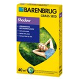 Шедоу/Старый парк