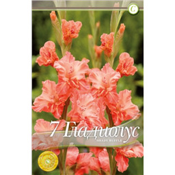 Шейди Раффл