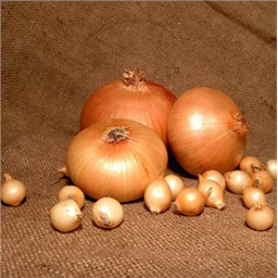 Штуттгартер Ризен