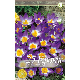 Сибери Триколор