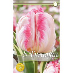 Сильвер Пэррот