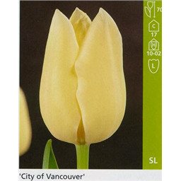 Сити оф Ванкувер