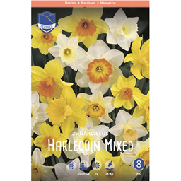 Смесь разных цветов нарциссов
