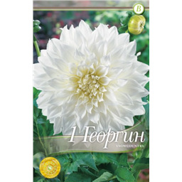 Сноукантри