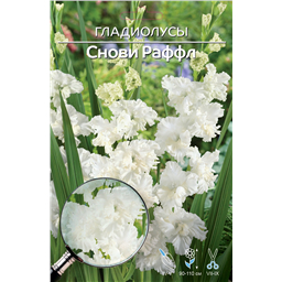 Снови Раффлз