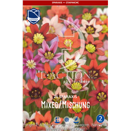 Спараксис Триколор