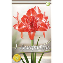 Старс энд Страйпс