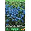 Сцилла Сиберика(упаковка мини)