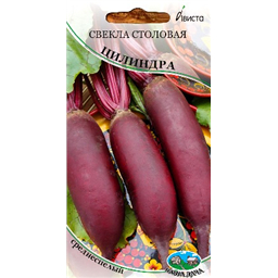 Свекла столовая Цилиндра .