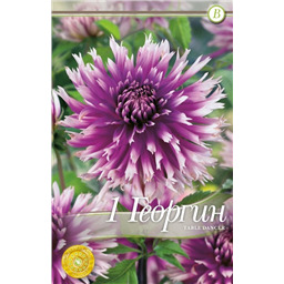 Табл Дансер