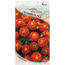Тагетес (бархатцы) Чемпион Ред 
