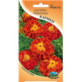 Тагетес (бархатцы) Кармен