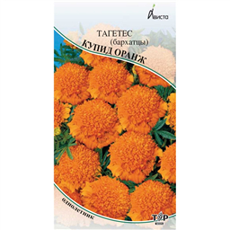 Тагетес (бархатцы) Купид Оранж 