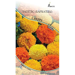 Тагетес (бархатцы) Сиерра смесь