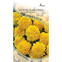 Тагетес (бархатцы) Лимонная капля