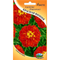 Тагетес (бархатцы) Красная вишня