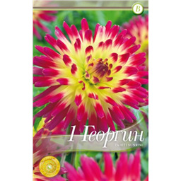 Таити Санрайз