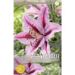 Тайгер Эдишн