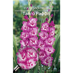 Танго Раффлз