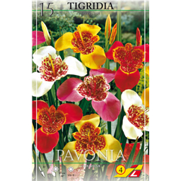 Тигридия смесь