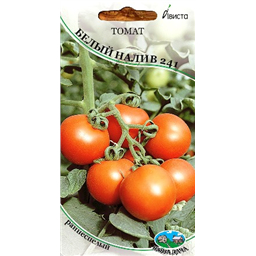 Томат Белый налив