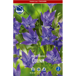 Трителия Корина 