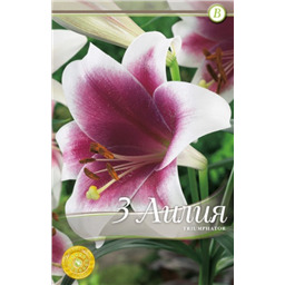 Триумфатор