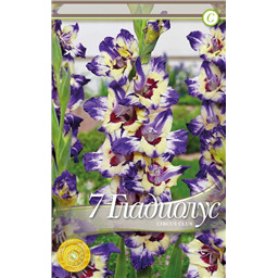 Циркус Клаб