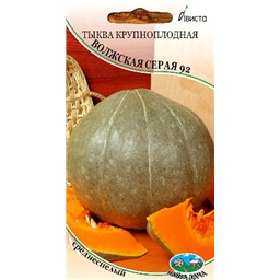 Тыква крупноплодная Волжская серая 92