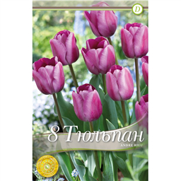 Тюльпан Андре Риу