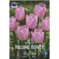 Тюльпан Холланд Бьюти