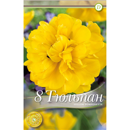 Тюльпан Йеллоу Помпонет