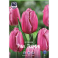 Тюльпан Пинк Триумф