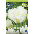 Тюльпан Уайт Велли