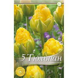 Тюльпан Ванилла Куп