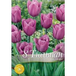 Тюльпан Блю Эмабл