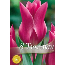 Тюльпан Джаз