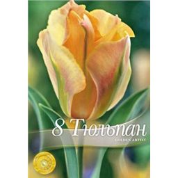 Тюльпан Голден Артист