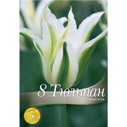 Тюльпан Грин Стар