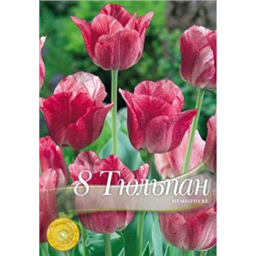 Тюльпан Хемисфере