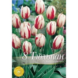 Тюльпан Хэппи Дженерейшн