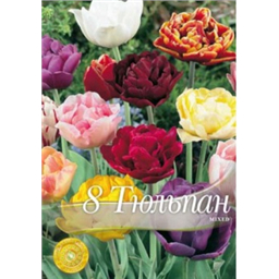 Тюльпан Махровая смесь