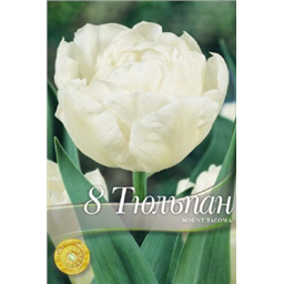 Тюльпан Маунт Такома