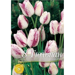 Тюльпан Модерн Стайл