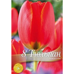 Тюльпан Ворлд Файре