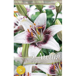 Уайт Пикселс