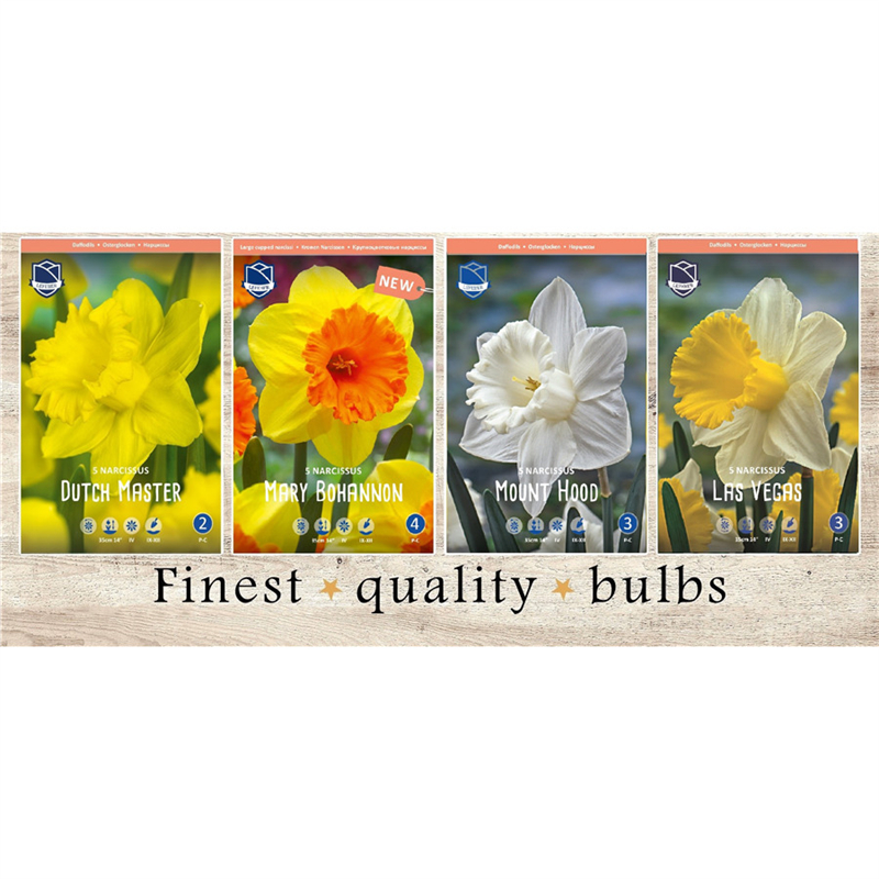 VAN-215 Нарциссы Крупноцветковые (4x50шт.)12-14