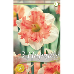 Ванилла Пич